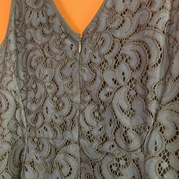 NWT Ann Taylor Loft Lace Fit and Flare Dress Womens Size 10 - Picture 5 of 6